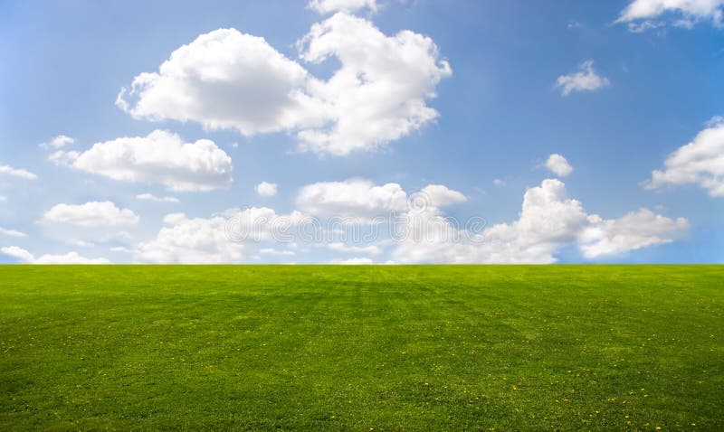 Zielone niebo błękitne trawy