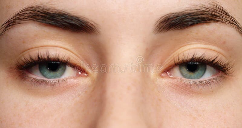 Zielone oczy - wzrok i wzrok z kobietą mrugającą podczas testu u optometrysty lub optyka, aby zobaczyć z czystym zdjęcie wideo