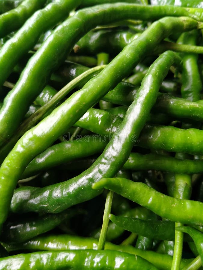 Zielony chili kręty to jedna z typowych indonezyjskich przypraw kuchennych. fotografia stock