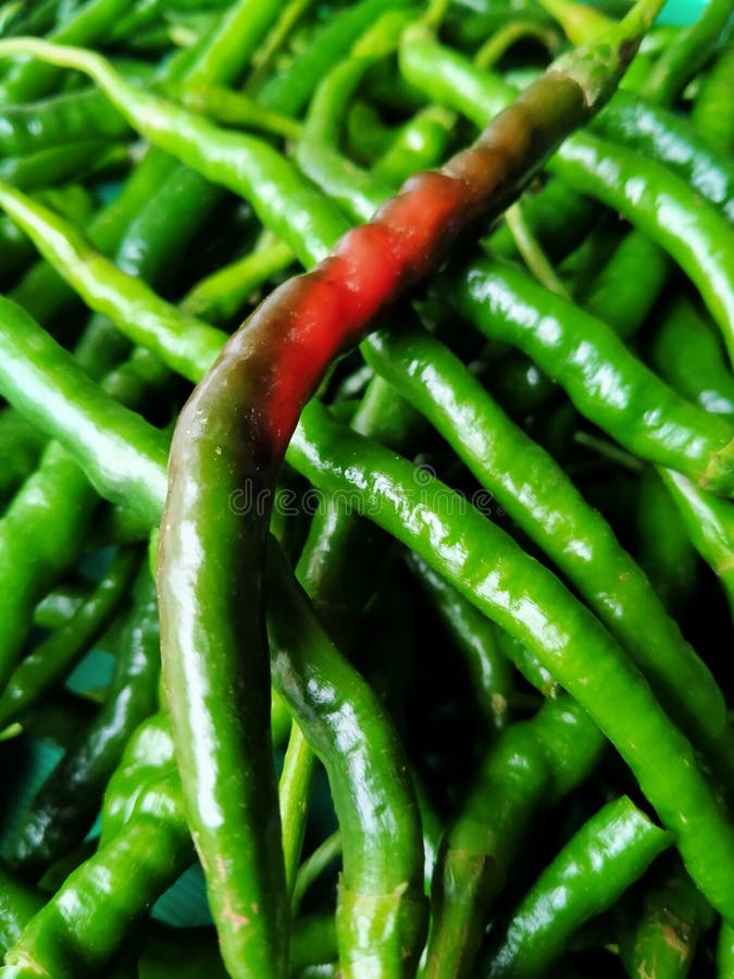 Zielony chili kręty to jedna z typowych indonezyjskich przypraw kuchennych. zdjęcie stock