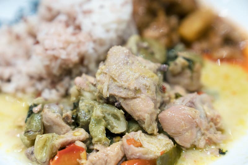 Zielony curry z kurczakiem obraz royalty free Zielony curry z kurczakiem obraz royalty free