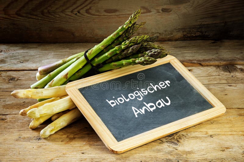 Zielony i biały asparagus i blackboard z niemieckim tekstem fotografia stock Zielony i biały asparagus i blackboard z niemieckim tekstem fotografia stock