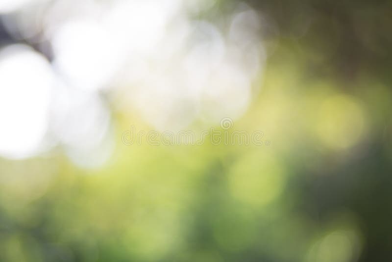 Zielony liścia bokeh tło, abstrakcjonistyczny tło zdjęcie royalty free Zielony liścia bokeh tło, abstrakcjonistyczny tło zdjęcie royalty free