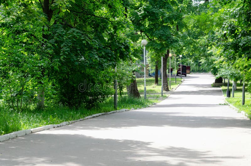 Zielony park z drog?, drzewo aleja fotografia royalty free Zielony park z drog?, drzewo aleja fotografia royalty free