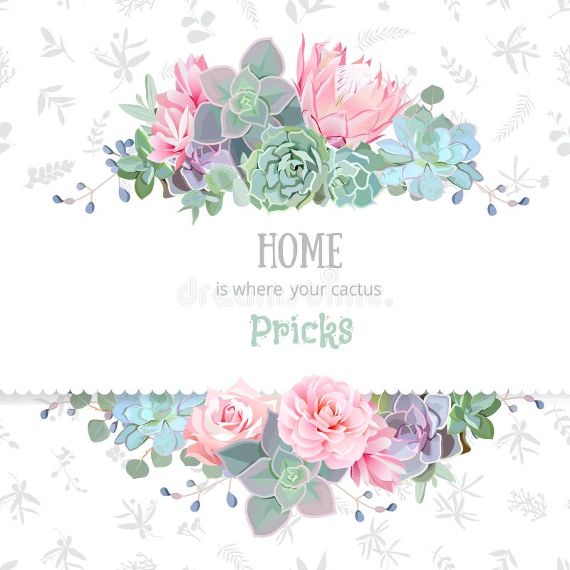 Green colorful succulents vector design frame. Echeveria, protea, eucaliptus. Natural cactus card in modern funky style. Delicate floral texture background. All elements are isolated and editable. Green colorful succulents vector design frame. Echeveria, protea, eucaliptus. Natural cactus card in modern funky style. Delicate floral texture background. All elements are isolated and editable.