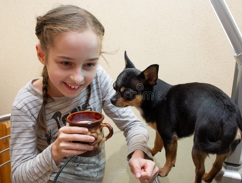 Ziemlich Lachelndes Madchen Ihr Hund Steht In Der Nahe Madchen Und Chihuahua Am Tisch Stockfoto Bild Von Ziemlich Hund