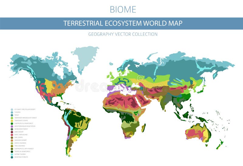 Ziemnego ekosystemu światowa mapa Biome Światowy klimatycznej strefy infographic projekt