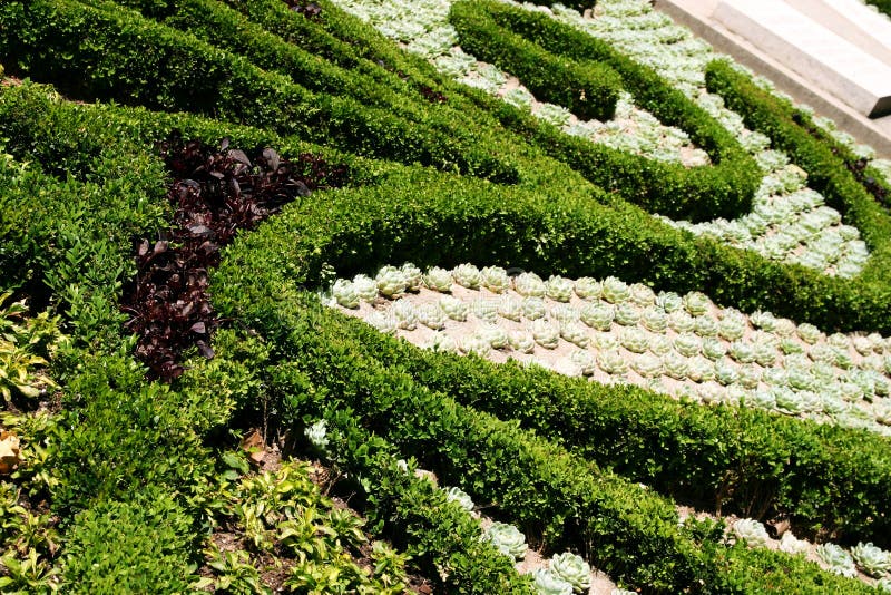 Zierpflanzen Und Das Gras Der Gartenarbeit Stockbild Bild von