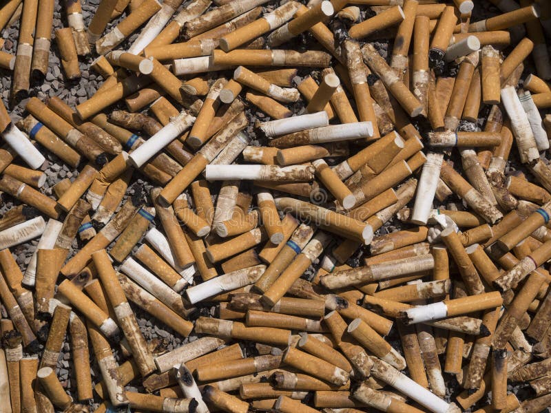 Zigarettenkippen lizenzfreies stockbild Zigarettenkippen lizenzfreies stockbild