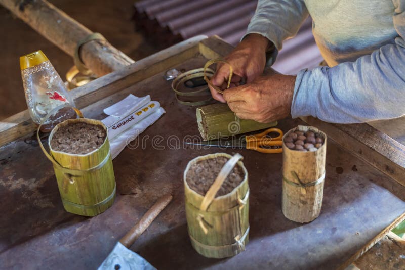 Zigarrenvorbereitung, Vinales, UNESCO, Pinar del Rio Province, Kuba, Antillen, Karibische Meere, Mittelamerika stockbild Zigarrenvorbereitung, Vinales, UNESCO, Pinar del Rio Province, Kuba, Antillen, Karibische Meere, Mittelamerika stockbild