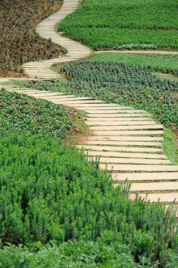 Zigzag Stone path