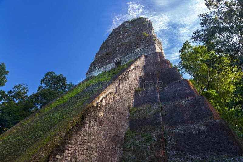 Zijaanzicht van Oude Mayan Piramideruïnes, dat als Tikal-Tempel 5 of Tempel V, in het Wereldberoemde Nationale Park Guatemala wor stock fotografie Zijaanzicht van Oude Mayan Piramideruïnes, dat als Tikal-Tempel 5 of Tempel V, in het Wereldberoemde Nationale Park Guatemala wor stock fotografie
