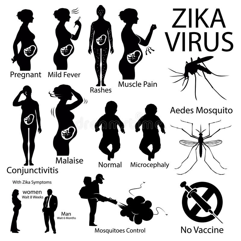 Zika Virus Infographic With Pregnant Woman Stock Vector Illustration 