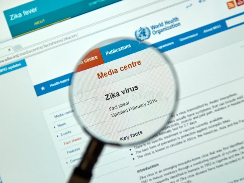 Zika-Virus-Schlüsseltatsachen lizenzfreie stockfotografie Zika-Virus-Schlüsseltatsachen lizenzfreie stockfotografie