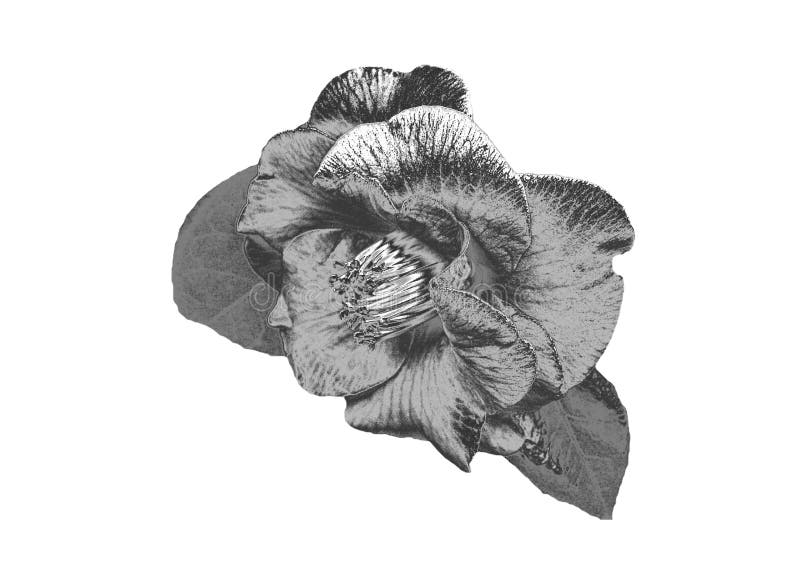 Zilveren Bloem royalty-vrije stock afbeelding