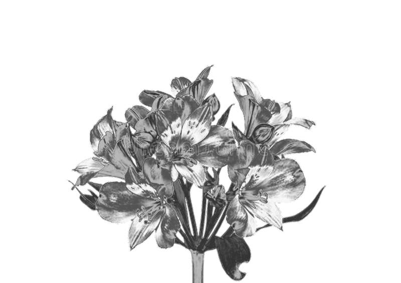 Zilveren Bloem stock afbeelding