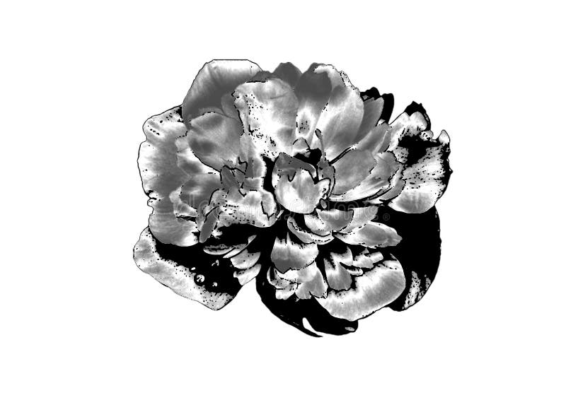 Zilveren Bloem vector illustratie