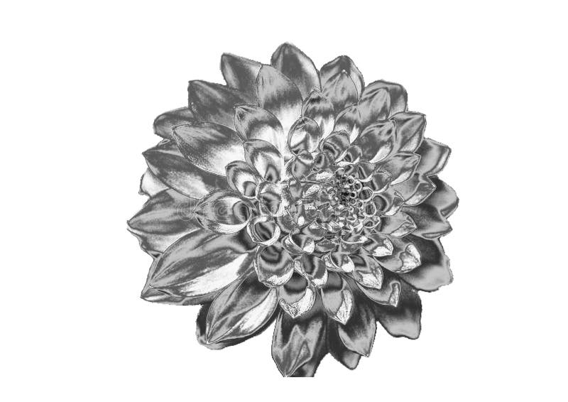 Zilveren bloem stock foto's