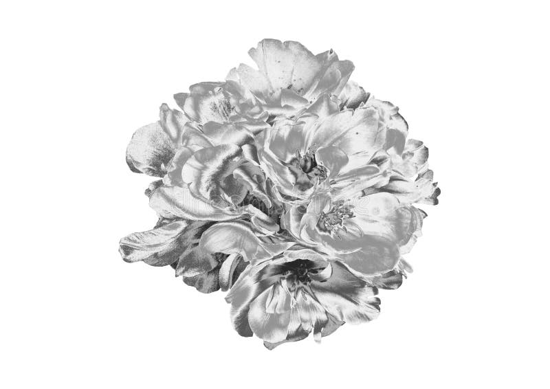 Zilveren Bloem royalty-vrije stock foto