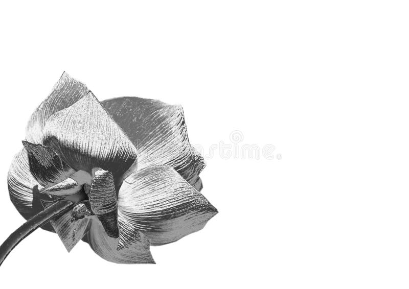 Zilveren bloem stock foto