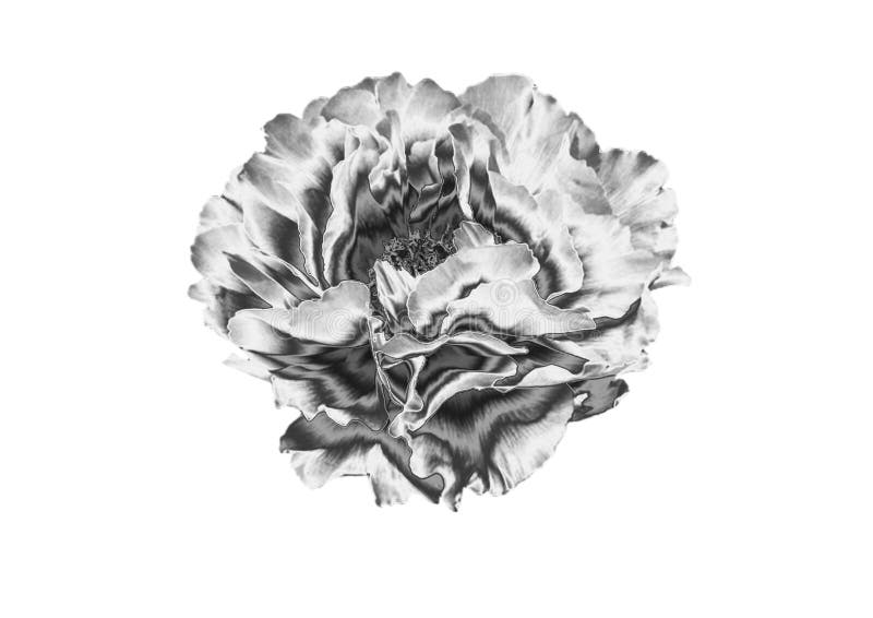 Zilveren bloem stock afbeeldingen