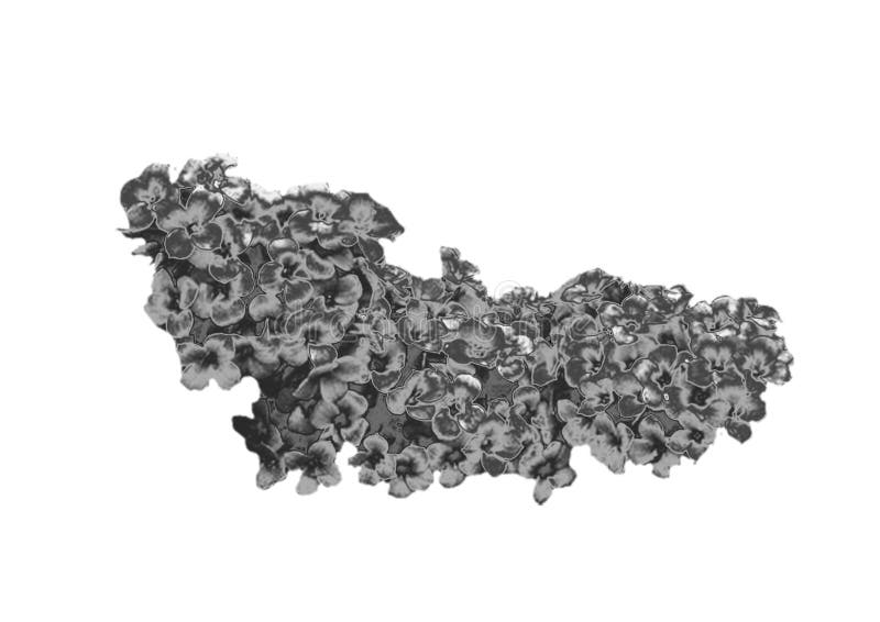 Zilveren Bloem royalty-vrije stock foto's