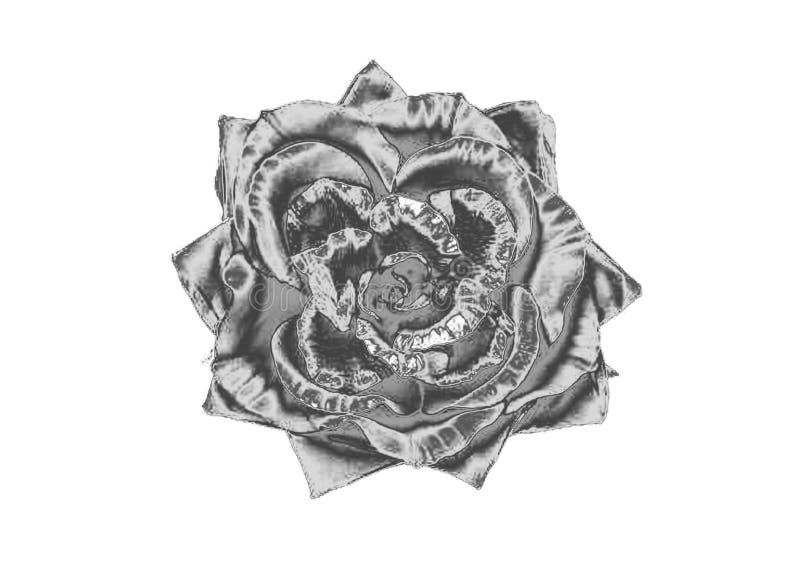 Zilveren Bloem royalty-vrije stock foto's