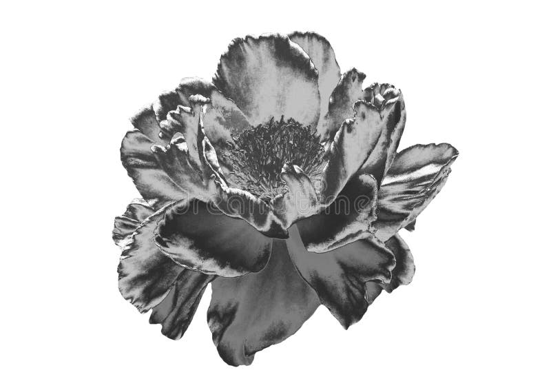 Zilveren Bloem royalty-vrije stock foto