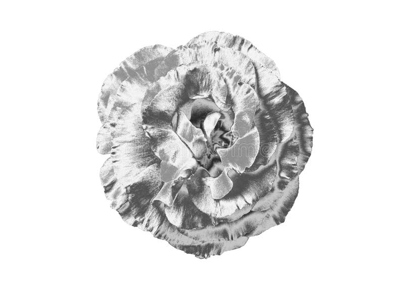 Zilveren Bloem royalty-vrije stock foto's