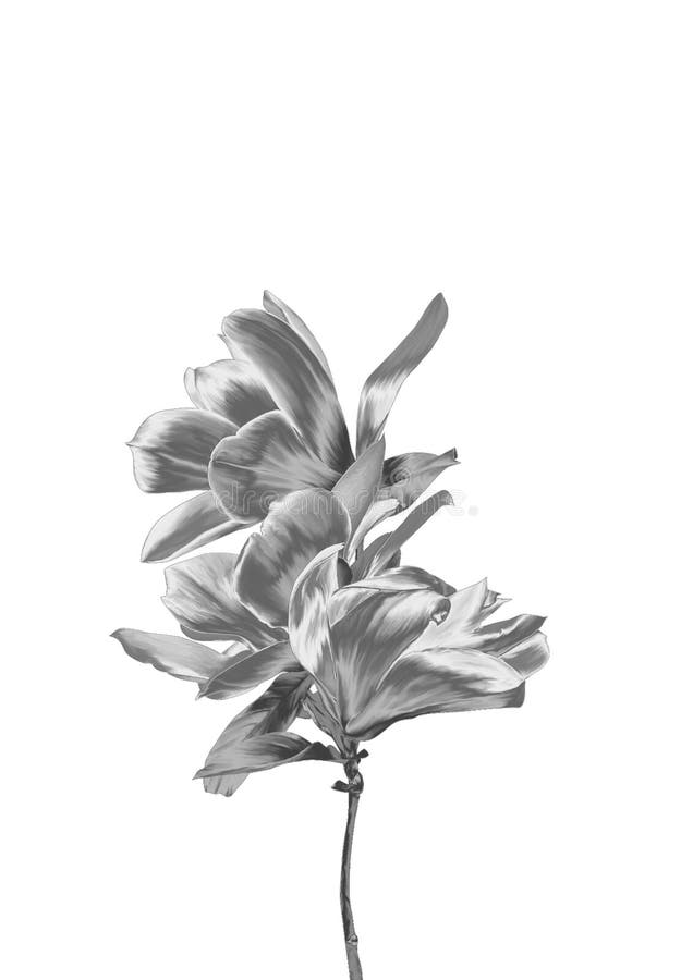 Zilveren Bloem stock fotografie