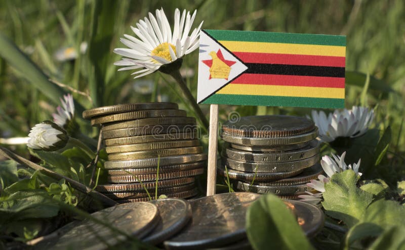 Zimbabwe flaga z stertą pieniądze monety z trawą zdjęcia stock