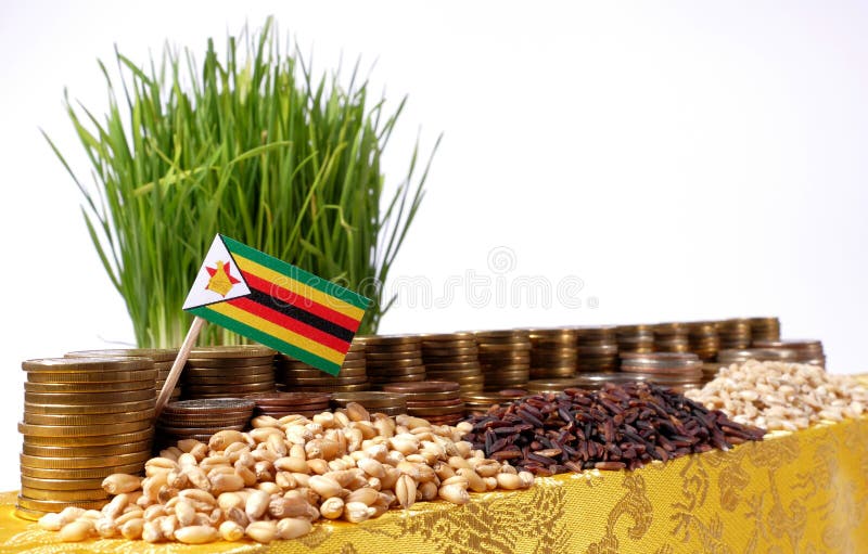 Zimbabwe zaznacza falowanie z stertą pieniądze monety i stosami banatka zdjęcie royalty free