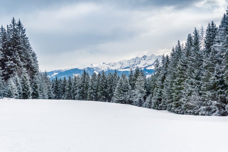 Zimowy krajobraz z śnieżnym lasem i pokrytymi śniegiem górami w Schmittenhohe, Zell am See, Alpy Austriackie obraz stock Zimowy krajobraz z śnieżnym lasem i pokrytymi śniegiem górami w Schmittenhohe, Zell am See, Alpy Austriackie obraz stock