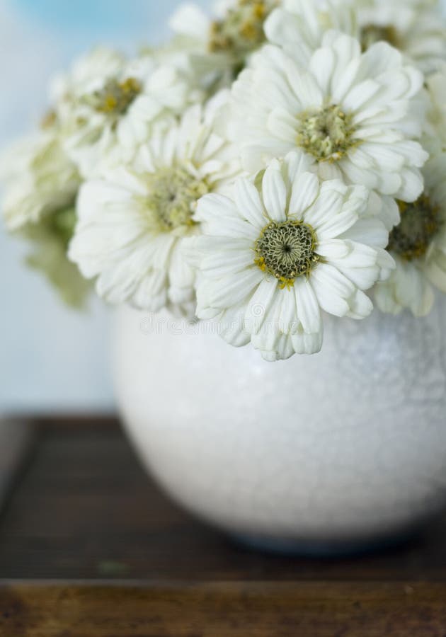 Zinnias in ciotola di Raku fotografie stock libere da diritti Zinnias in ciotola di Raku fotografie stock libere da diritti