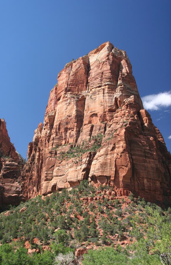 Zion national park