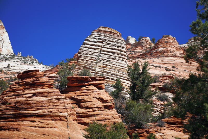 Zion National Park, los E.E.U.U. imagen de archivo libre de regalías Zion National Park, los E.E.U.U. imagen de archivo libre de regalías