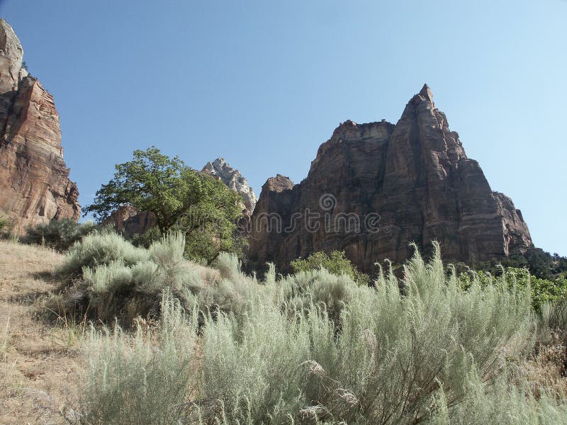 Zion National Park Rocks