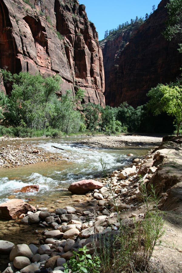 Zion River