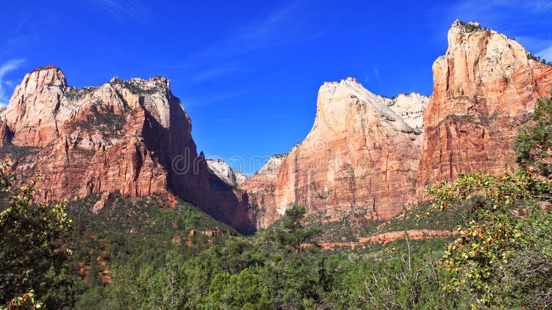 Dramatic landscape of colorful orange and red mountains contrast with bright green conifers and deep blue sky in Utah's Zion National Park. Dramatic landscape of colorful orange and red mountains contrast with bright green conifers and deep blue sky in Utah's Zion National Park