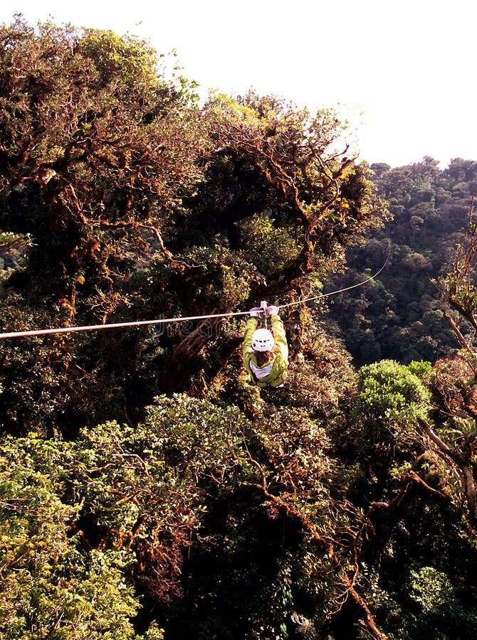 Ziplining above rainforest