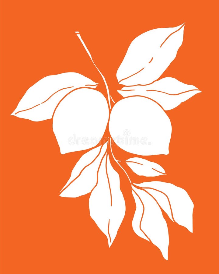 Zitronen auf einem Zweig mit von Hand gezogenen Vektor Illustration weißer Silhouette auf orangefarbenem Hintergrund lizenzfreie abbildung