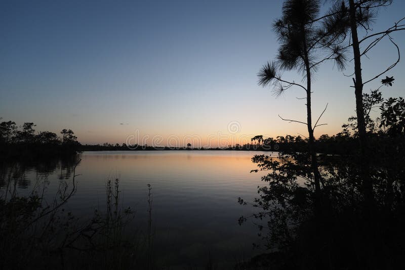 Zmierzch nad jeziorem sosnowym w everglades park narodowy florida. zdjęcia stock