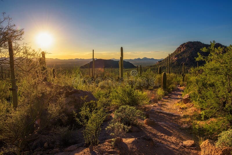 Zmierzch nad wycieczkować ślad w Saguaro parku narodowym w Arizona obrazy stock Zmierzch nad wycieczkować ślad w Saguaro parku narodowym w Arizona obrazy stock