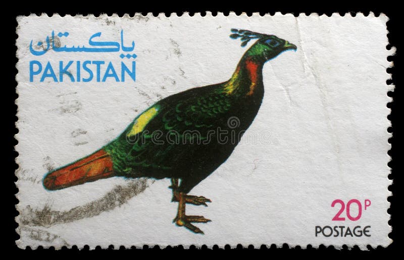 Znaczek drukujący Pakistan pokazuje Kalij bażanta fotografia royalty free Znaczek drukujący Pakistan pokazuje Kalij bażanta fotografia royalty free