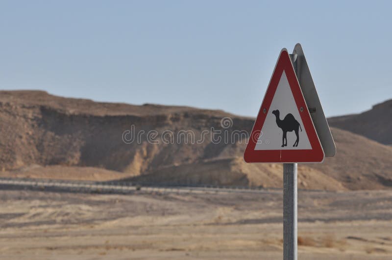 Znak ostrzegawczy wielbłąda na drodze. oznakowanie na pustyni w izraelu