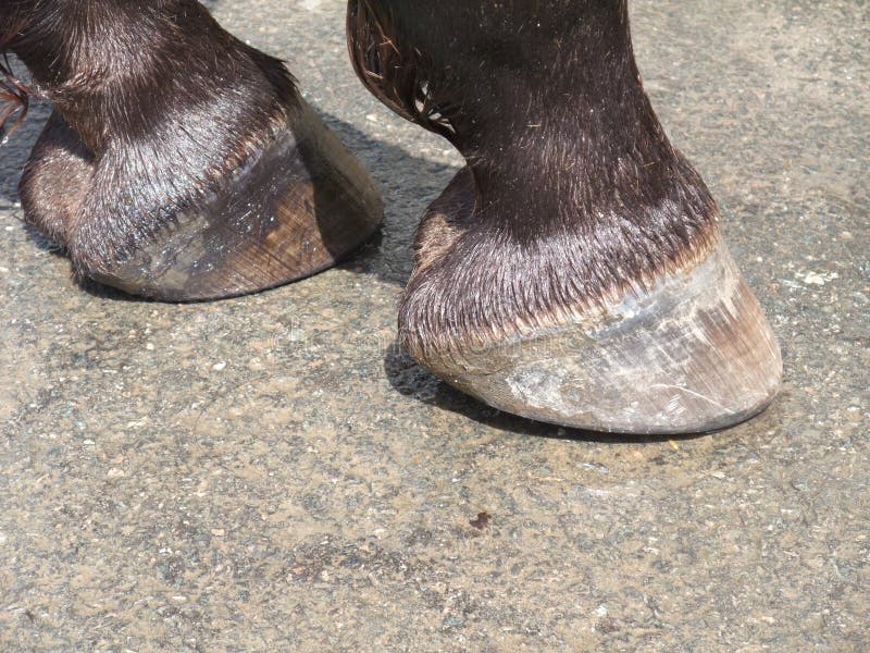 Hepp Stollentechnik Taglierina Per Fori Di Fissaggio - Foto 10