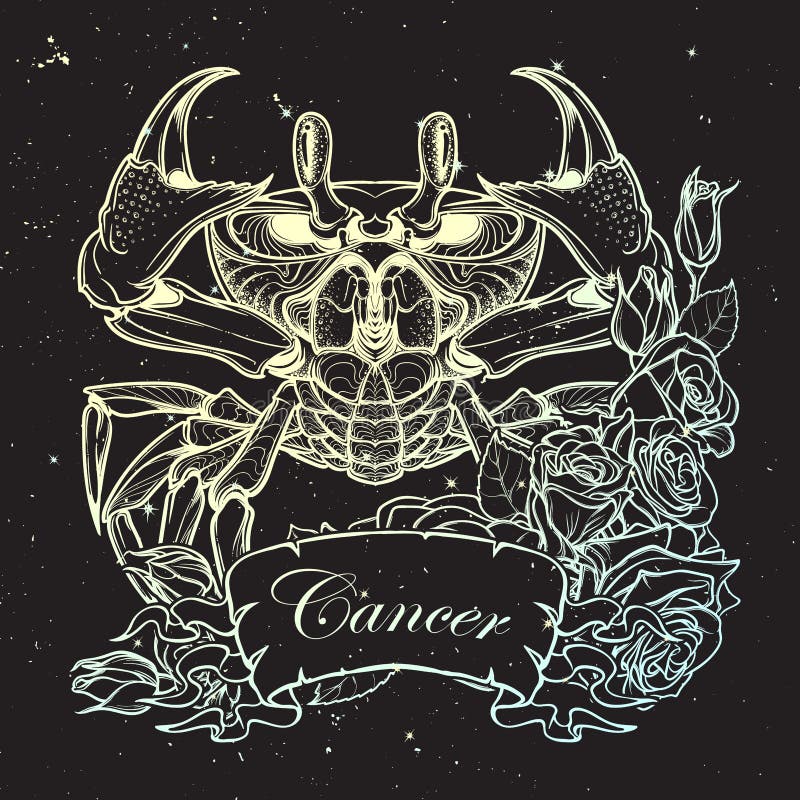 Zodiac Cancer. Linear Drawing Itolated on Night Sky Background Stock ...