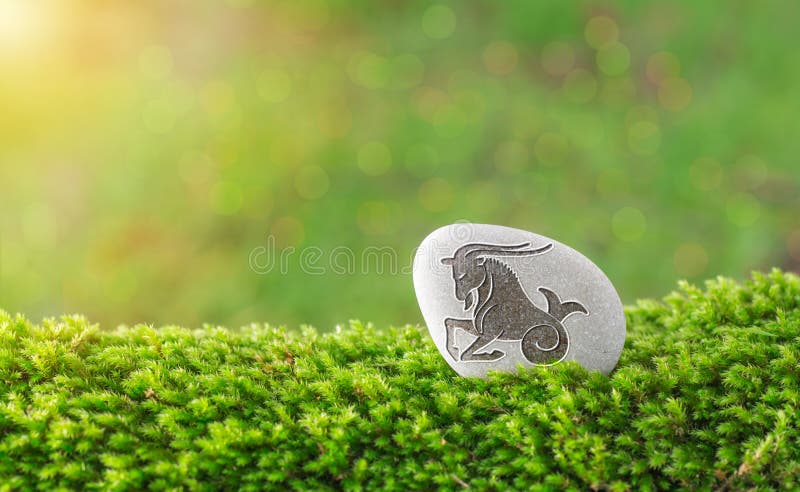 Capricorn zodiac symbol in stone on grass with nature bokeh light background. Capricorn zodiac symbol in stone on grass with nature bokeh light background