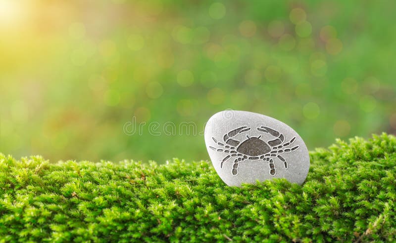 Cancer zodiac symbol in stone on grass with nature bokeh light background. Cancer zodiac symbol in stone on grass with nature bokeh light background