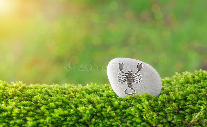 Scorpio zodiac symbol in stone on grass with nature bokeh light background. Scorpio zodiac symbol in stone on grass with nature bokeh light background